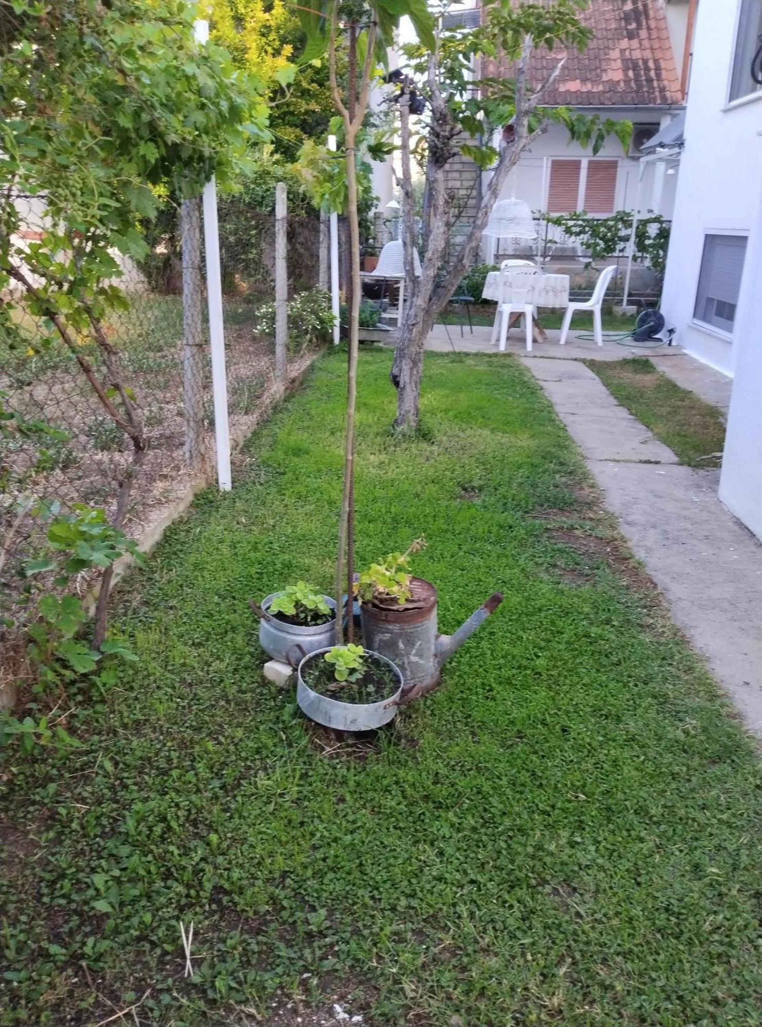 Θαλασσινή Αυρα Vila Vrasná Exterior foto