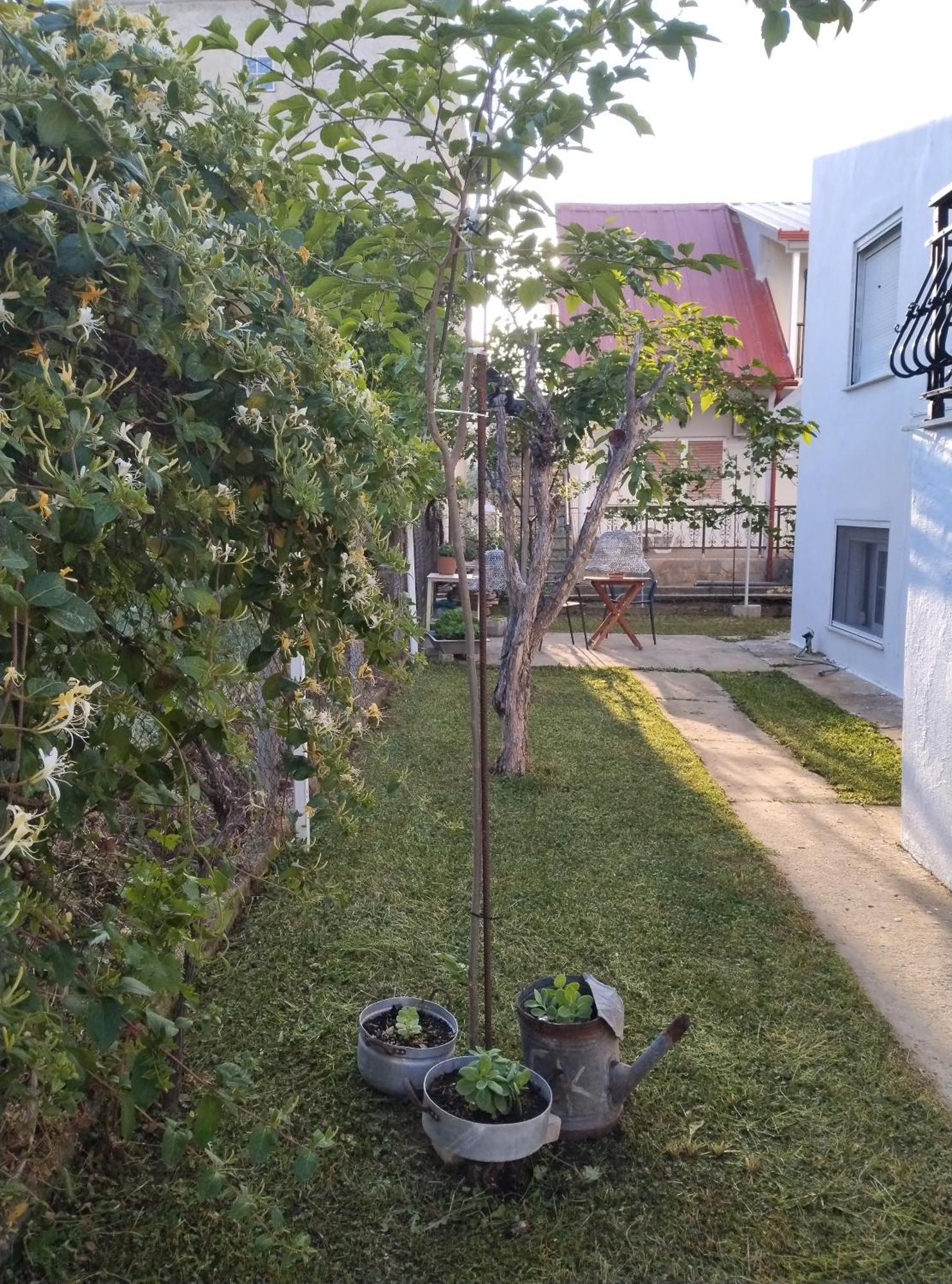 Θαλασσινή Αυρα Vila Vrasná Exterior foto