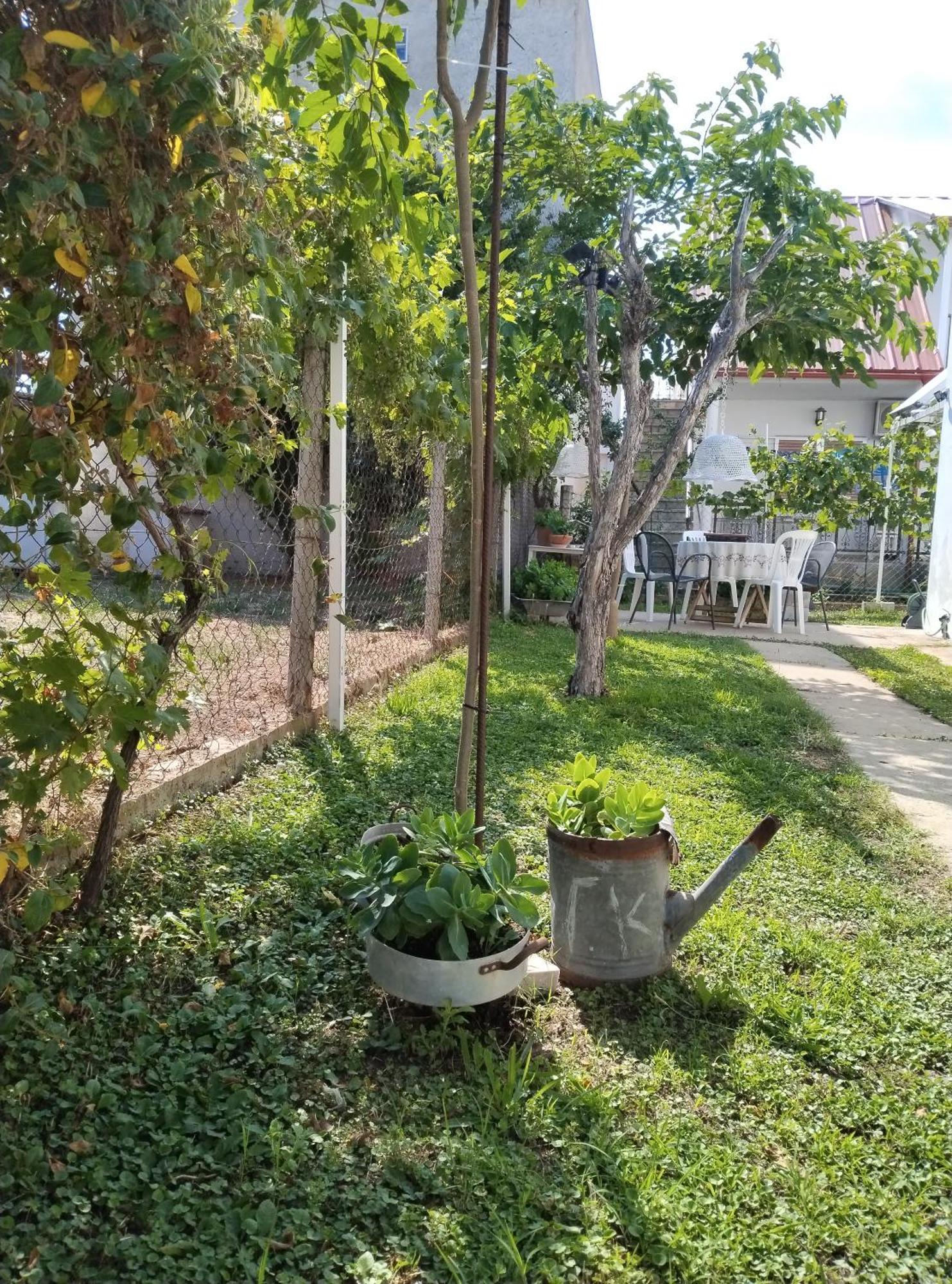 Θαλασσινή Αυρα Vila Vrasná Exterior foto